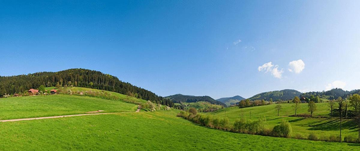 Hotel Fuxxbau Fischerbach Exteriér fotografie